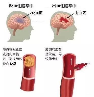 图片3_副本.jpg
