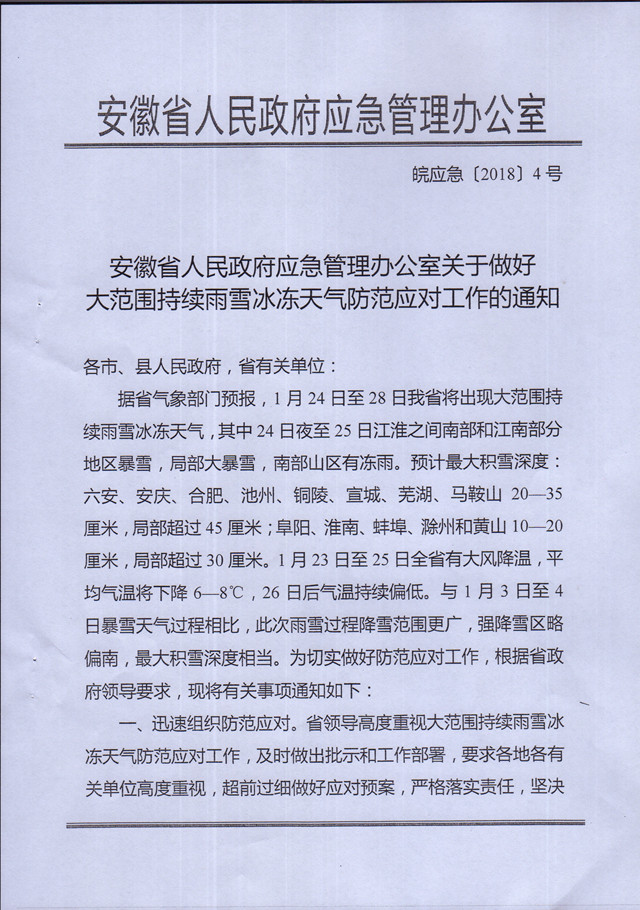 MDS00440.jpg