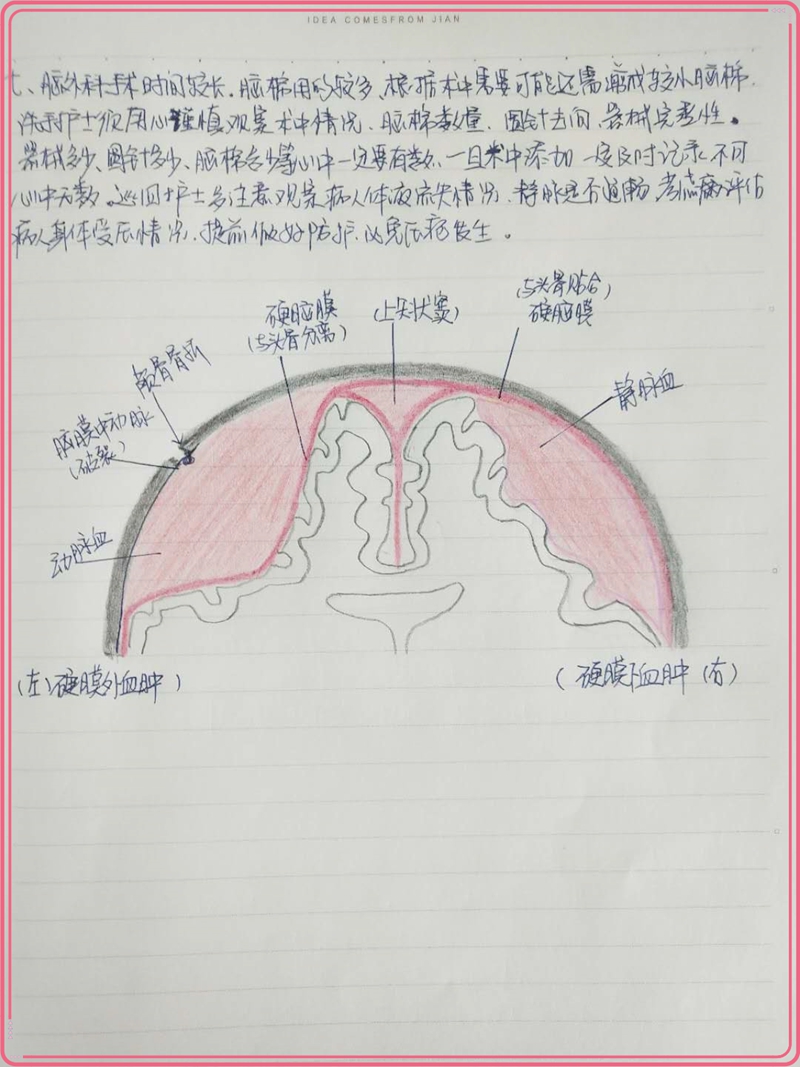 图片8.jpg