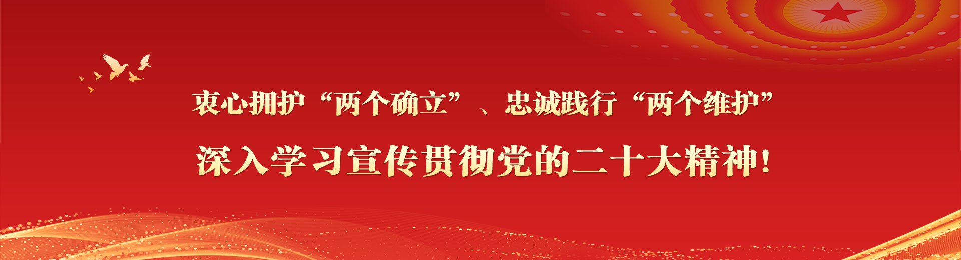 衷心拥护“两个确立”、忠诚践行“两个维护”，深入学习宣传贯彻党的二十大精神!