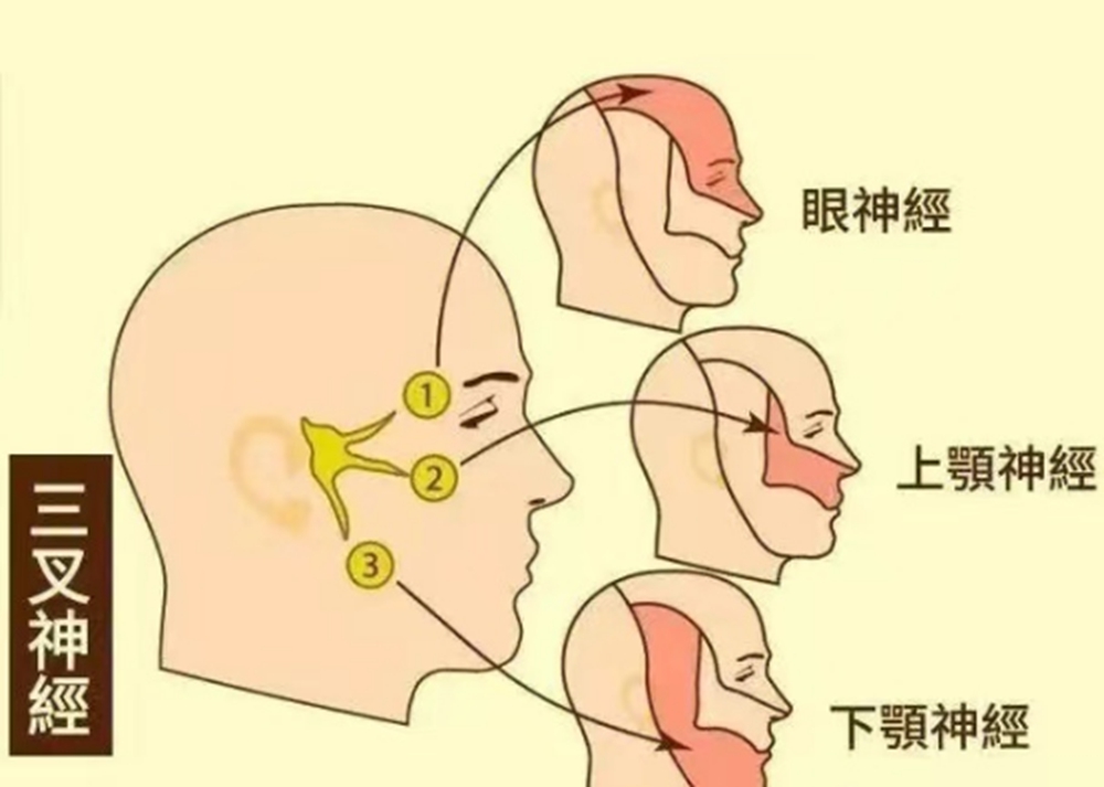 微信图片_20240409114139.jpg