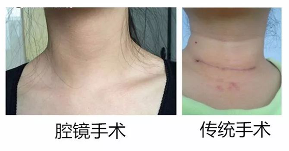 图片1(1)_副本.png
