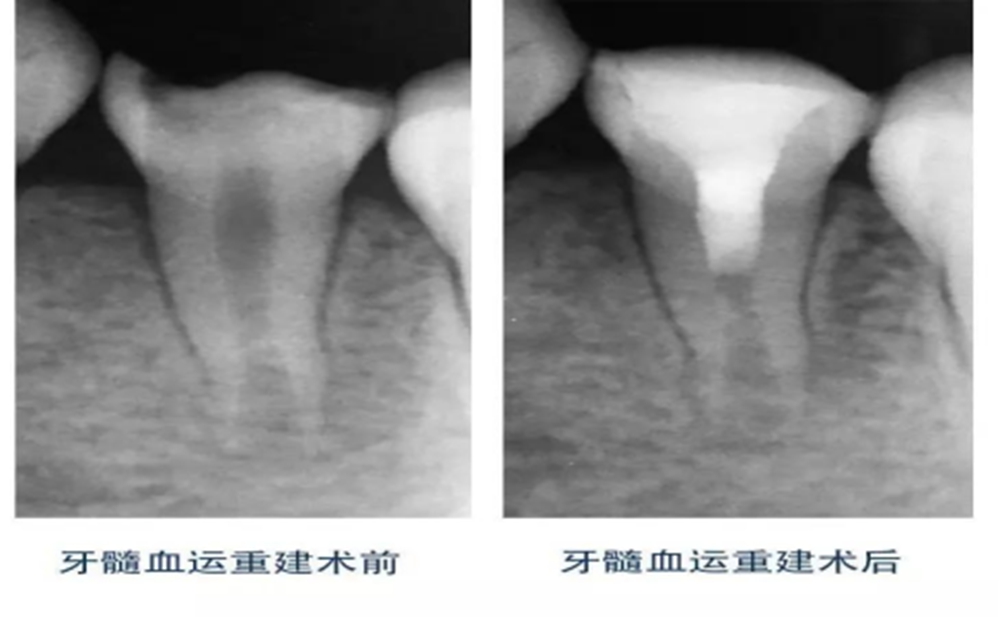 微信图片_20240724102828.jpg