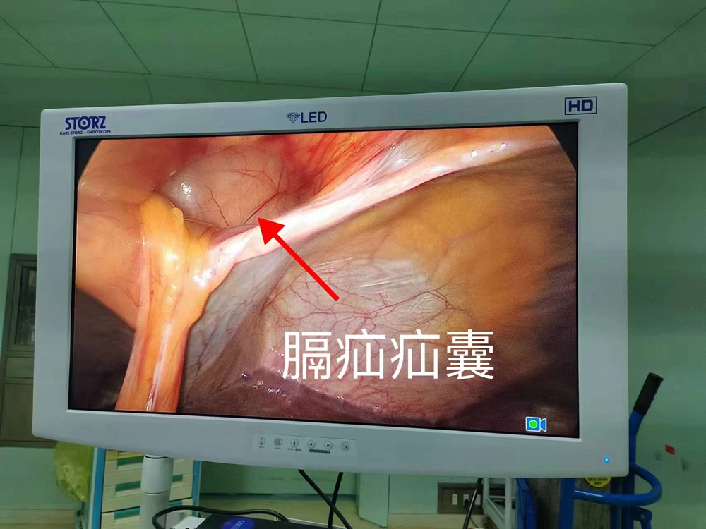 微信图片_20240928080225_副本.jpg