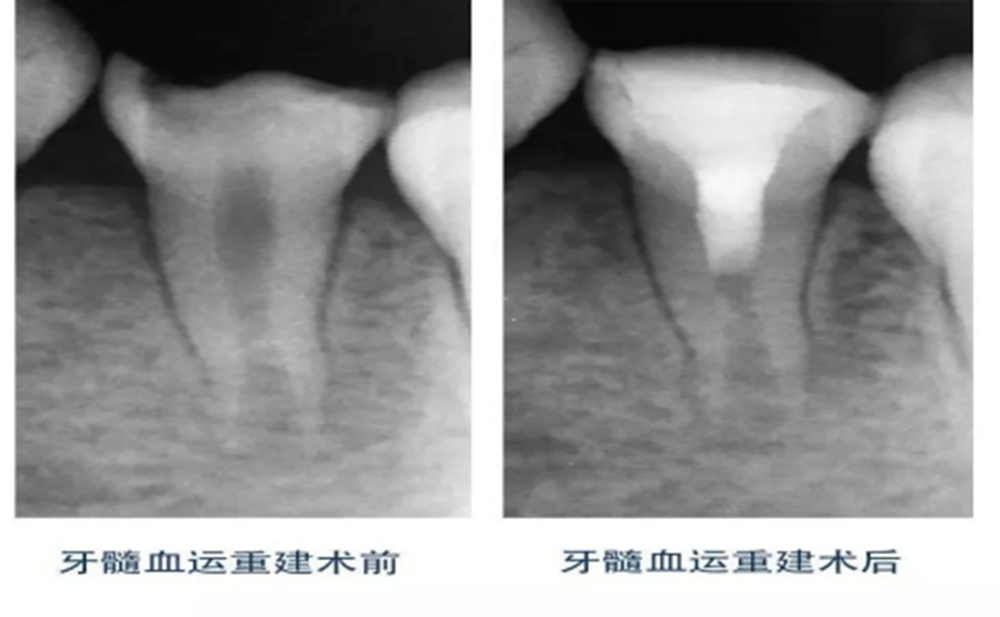 图片28.jpg