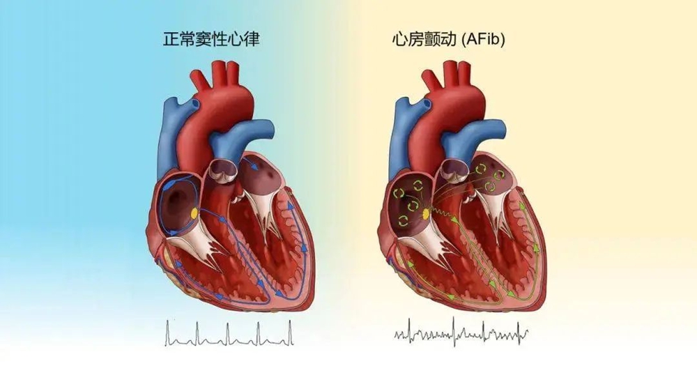 微信图片_2025-06-05_090343_718.jpg