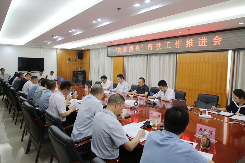 “皖北振兴”帮扶工作推进会在霍邱县人民医院召开